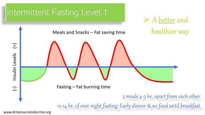 intermittent fasting level 1