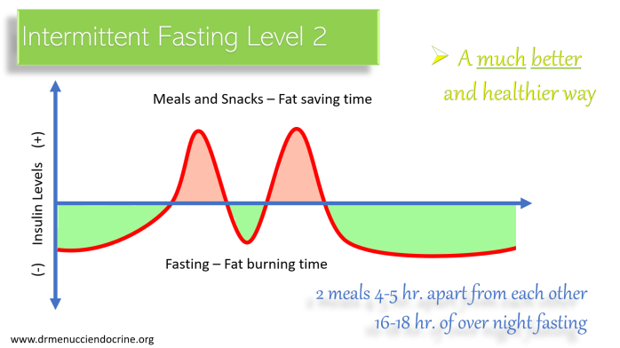 intermittent fasting level 2